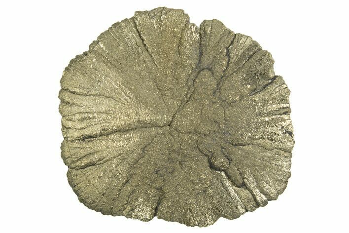 Radiant Pyrite Sun - Sparta, Illinois #342558